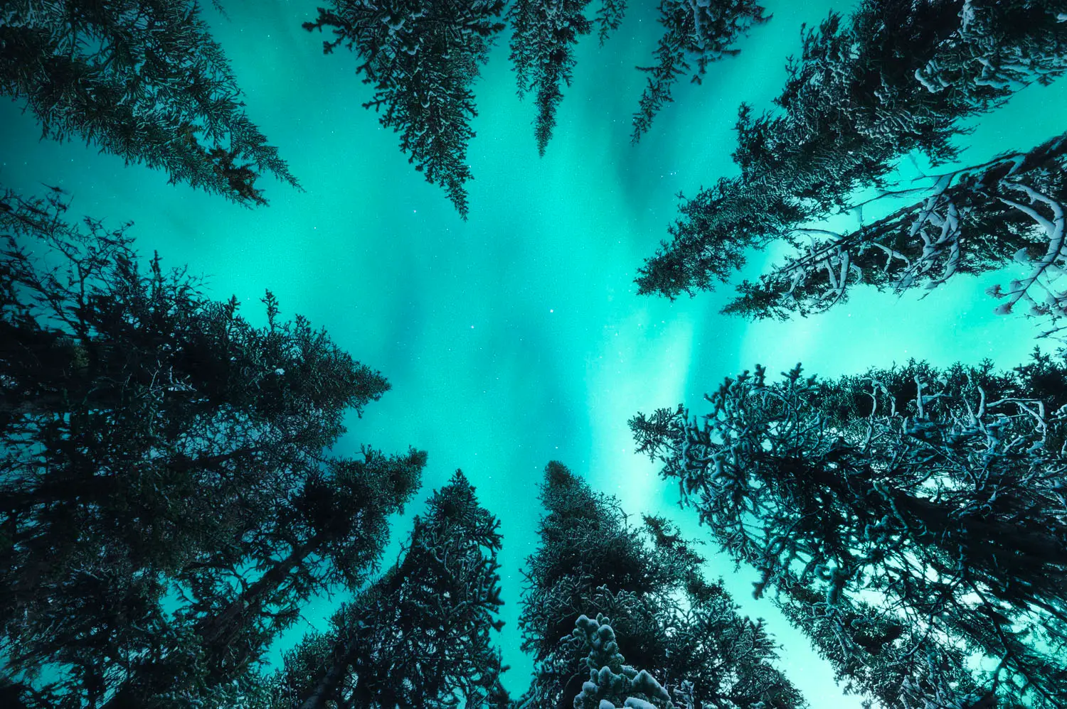 iStock-1392708527 iStock-1392708527