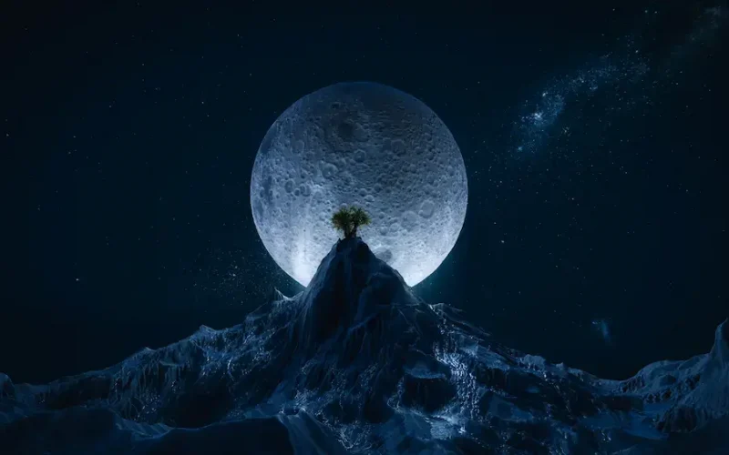 mohamed-nohassi-K8HiF9jvJ_o-unsplash